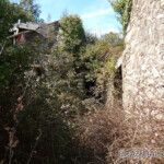 O Bidueiro – Cartelle